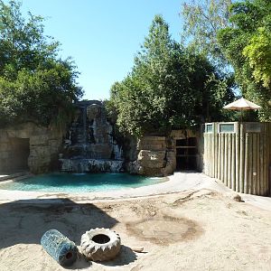 Asian Elephant Exhibit