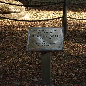 Howletts Wild Animal Park 2nd October 2011