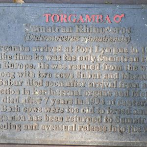 Howletts Wild Animal Park 2nd October 2011