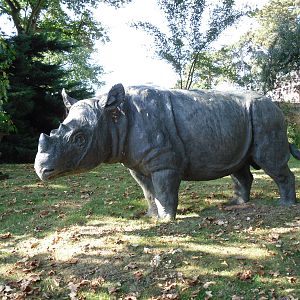 Howletts Wild Animal Park 2nd October 2011