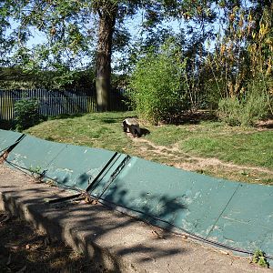 Howletts Wild Animal Park 2nd October 2011