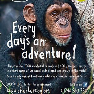 New Chester Zoo tourist poster