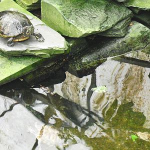 Terrapin Pond - 27/10/2011