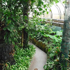 Australasia House - 27/10/2011