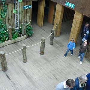 Aquarium Area - 27/10/2011