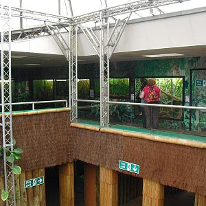 Creature Corner - 27/10/2011