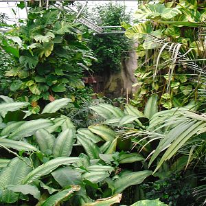 South America House - 27/10/2011