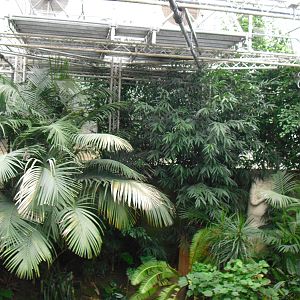 South America House - 27/10/2011