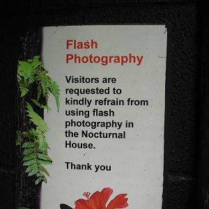 Flash Photography Sign - 27/10/2011