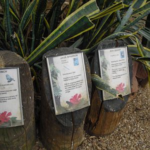 Desert House Bird Signage - 27/10/2011