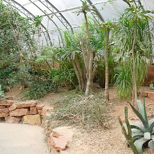 Desert House - 27/10/2011