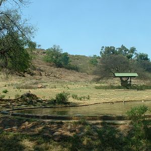National Zoo of South Africa