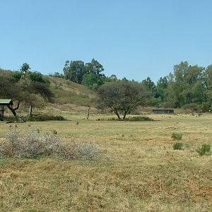 National Zoo of South Africa