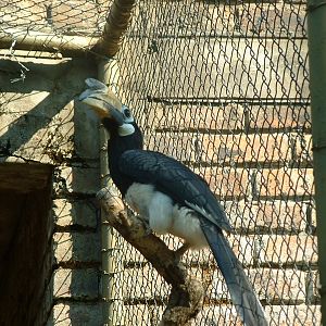 National Zoo of South Africa