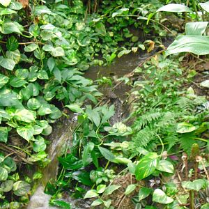 South America House - 27/10/2011