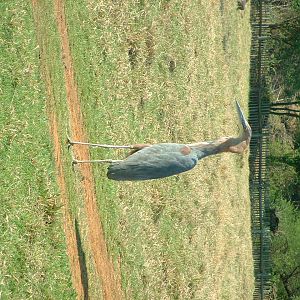 National Zoo of South Africa