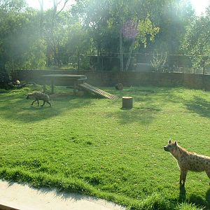 National Zoo of South Africa