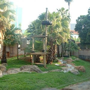 National Zoo of South Africa