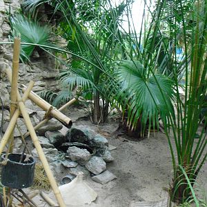 Step Ashore - 27/10/2011