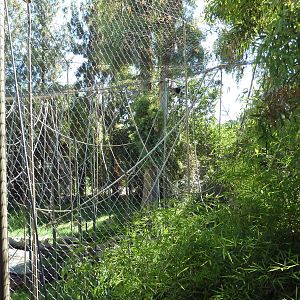 Orangutan/Siamang Exhibit