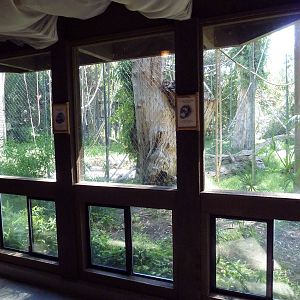 Orangutan/Siamang Exhibit