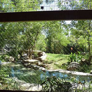 Malayan Tiger Exhibit