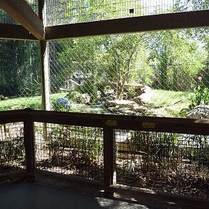 Malayan Tiger Exhibit