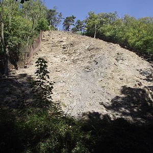 tahr enclosure 140911