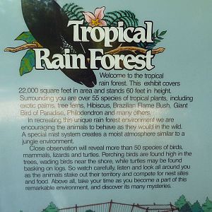 Tropical Rain Forest - Sign