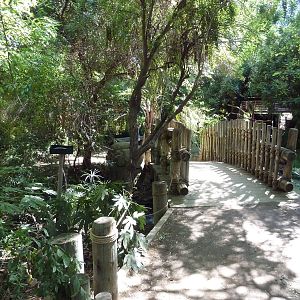 Tropical Rain Forest