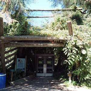 Tropical Rain Forest - Entrance