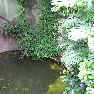 Crocodile House at Halle, 04/09/11