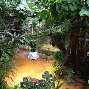 Crocodile House at Halle, 04/09/11