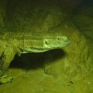 National Zoo of South Africa