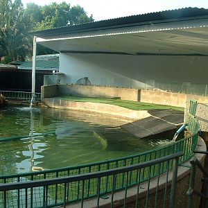 National Zoo of South Africa