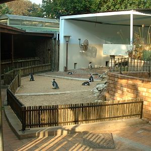 National Zoo of South Africa