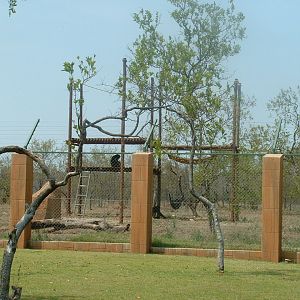 Mystic Monkeys Wildlife Park