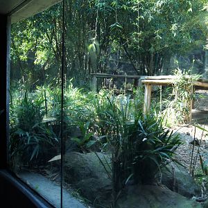 Sumatran Tiger Exhibit