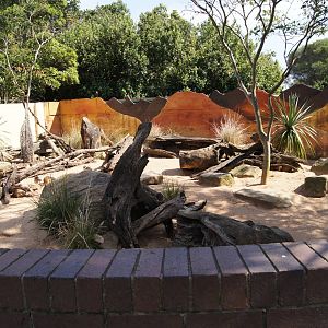 Meerkat Exhibit