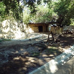 Malayan Tapir Exhibit