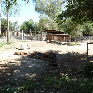 Warthog Exhibit