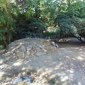 Spur-Thighed Tortoise Exhibit