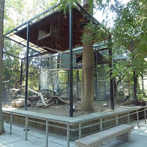 Aviary Complex (3 Exhibits)