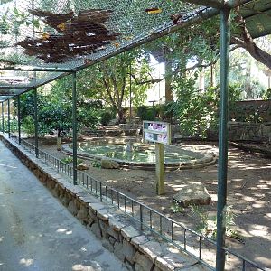 Walk-Through Aviary