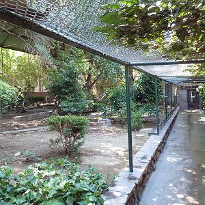 Walk-Through Aviary