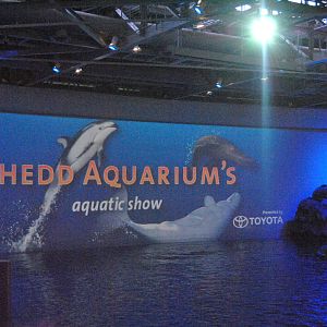 Shedd Aquarium