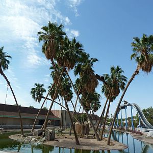 Primate Islands + Log Flume Ride