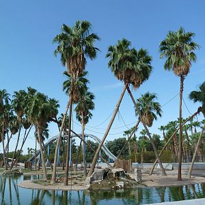 Primate Islands + Log Flume Ride