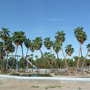 Primate Islands + Log Flume Ride