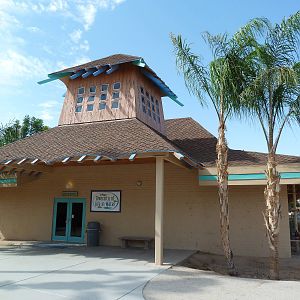 Aquarium #1 - Diversity Of Life In Water